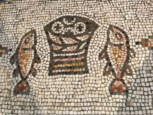 הדגים במוזאיקה שעל רצפת 'כנסיית הלחם והדגים' בטבחה אינם אמנונים